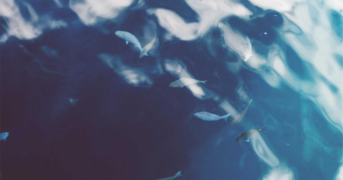 Laser Engraving Settings for Acrylic: What Actually Works