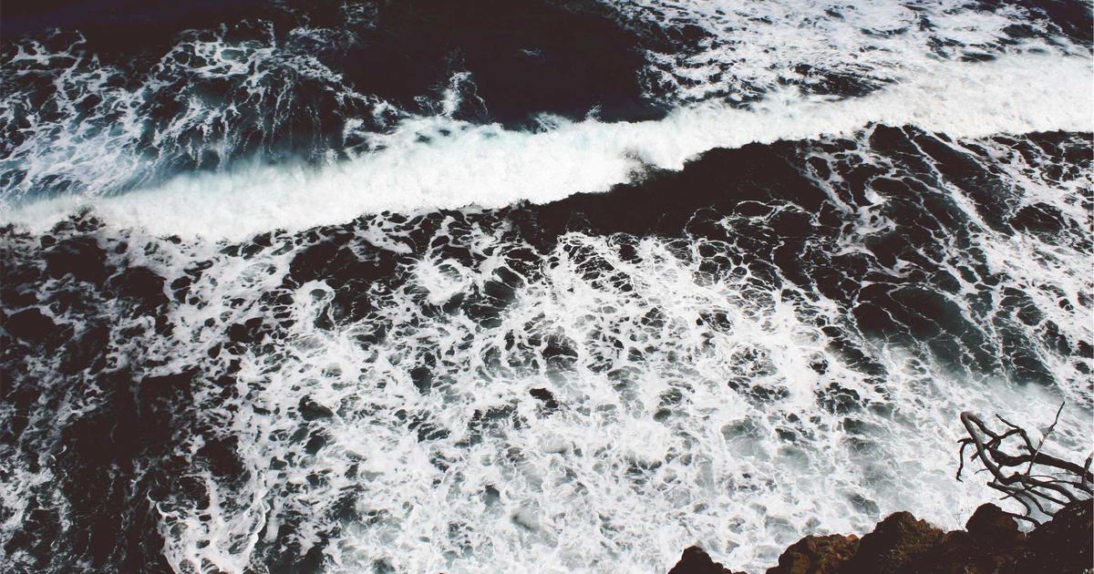 Best Beginner Laser Engraver Under 300 Dollars